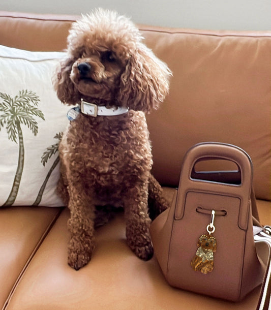 Acrylic dog keychain on a beige bag next to a dog